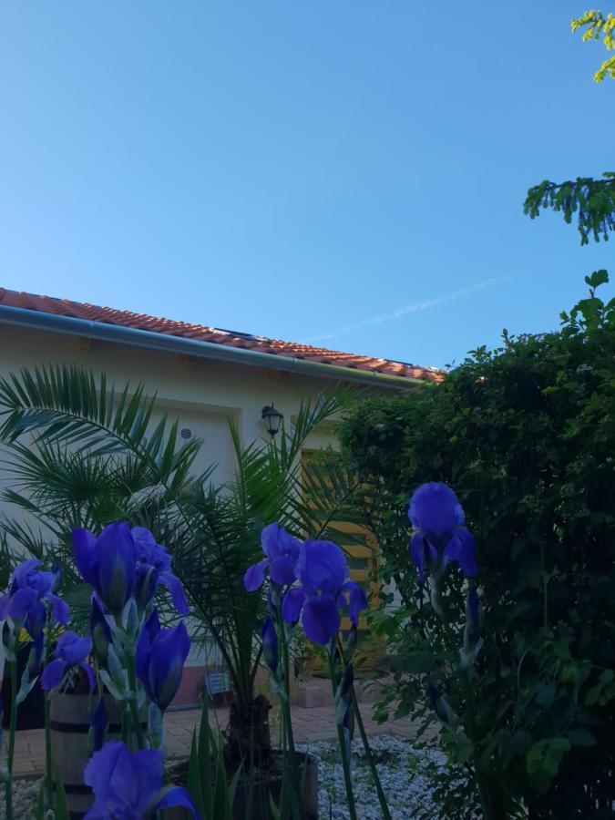Fuered Deluxe Garden Apartment Balatonfüred Eksteriør billede