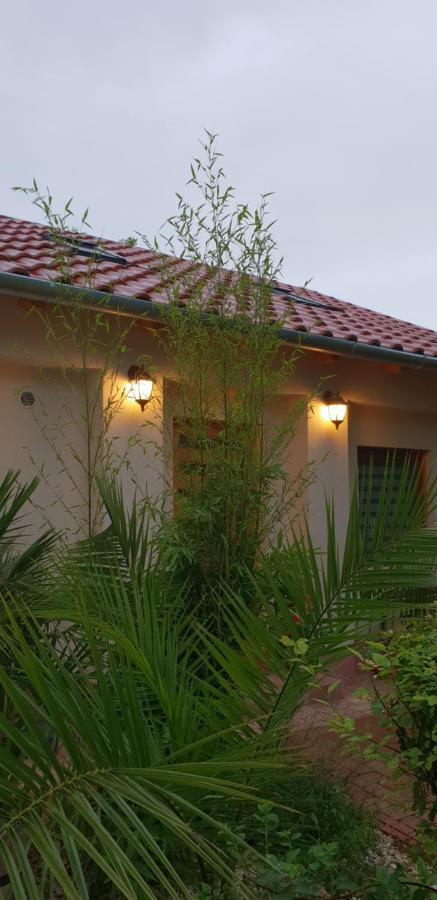 Fuered Deluxe Garden Apartment Balatonfüred Eksteriør billede